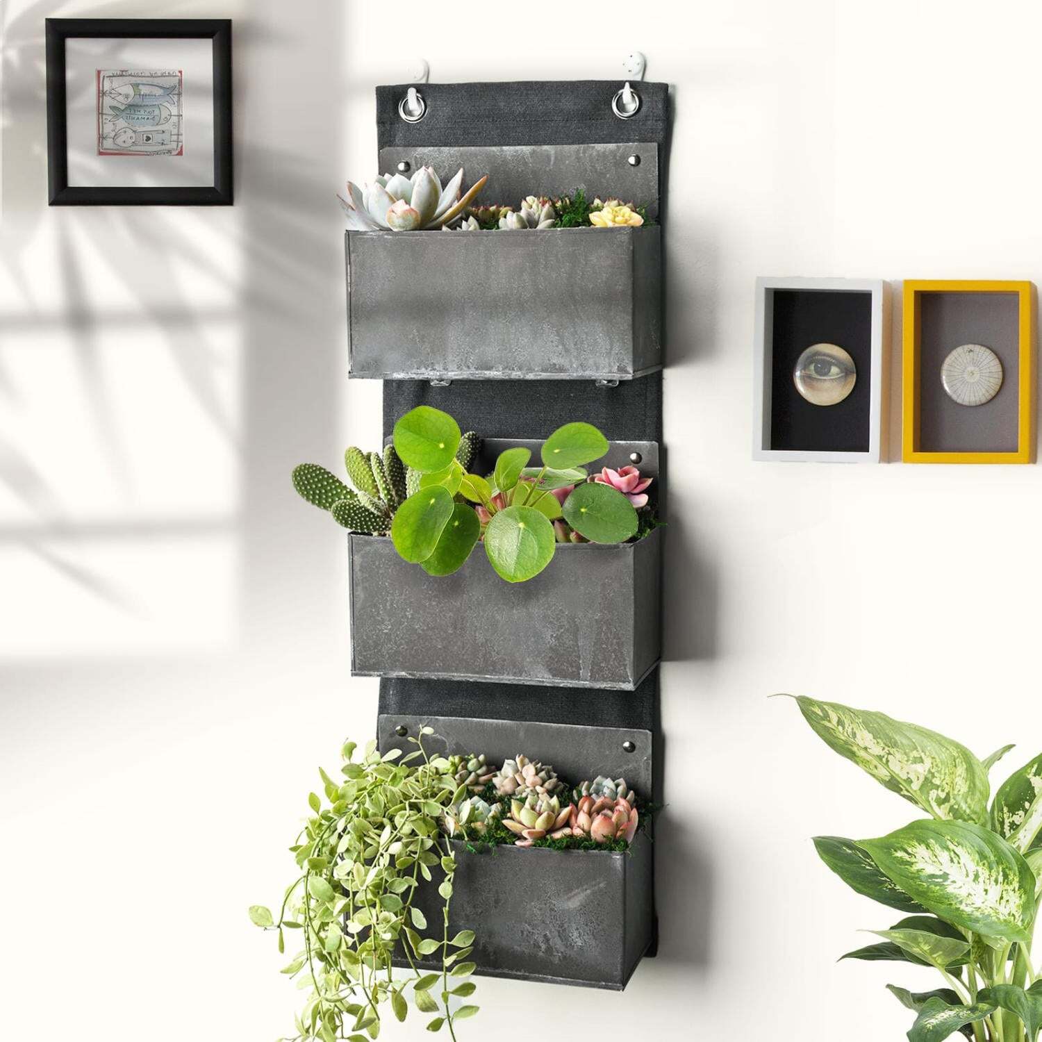 Vertical Garden, Iron Wall Planter VigginsGarden