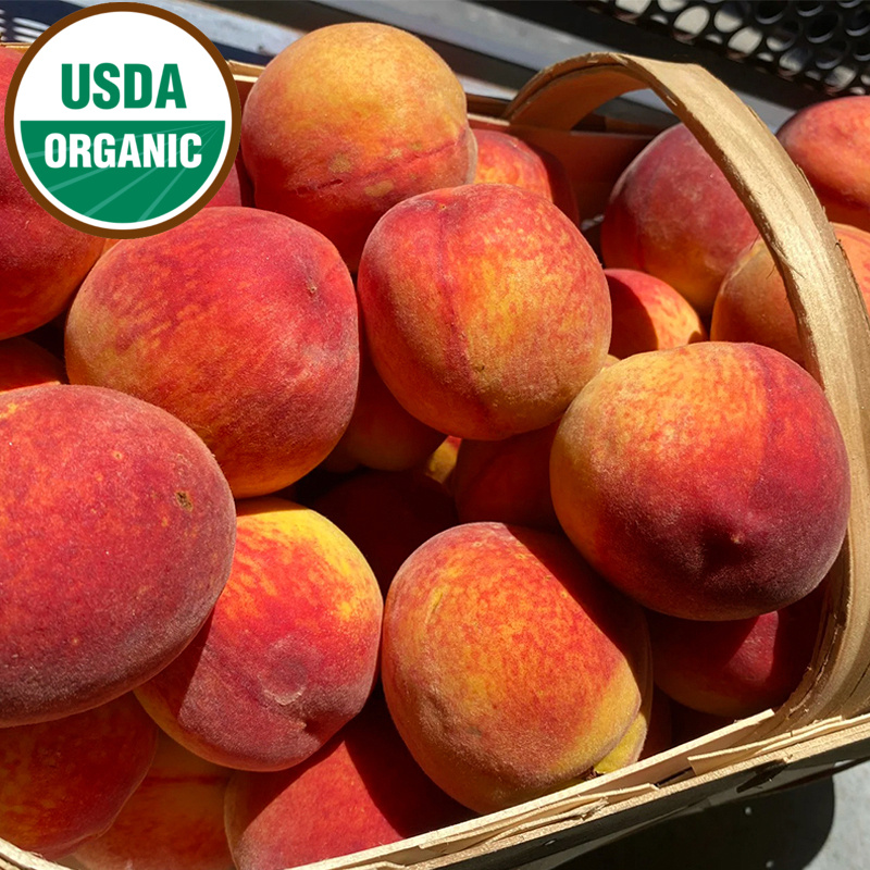 Organic White Peaches