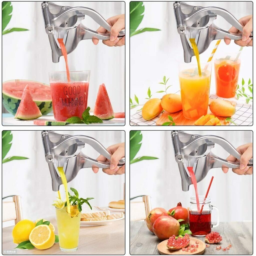 🔥HOT SALE🔥Stainless Steel Fresh Fruit Juice Extractor