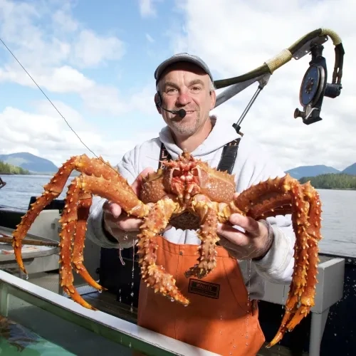 Unparalleled King Crab - Probably the largest you've ever seen. - Letcmv