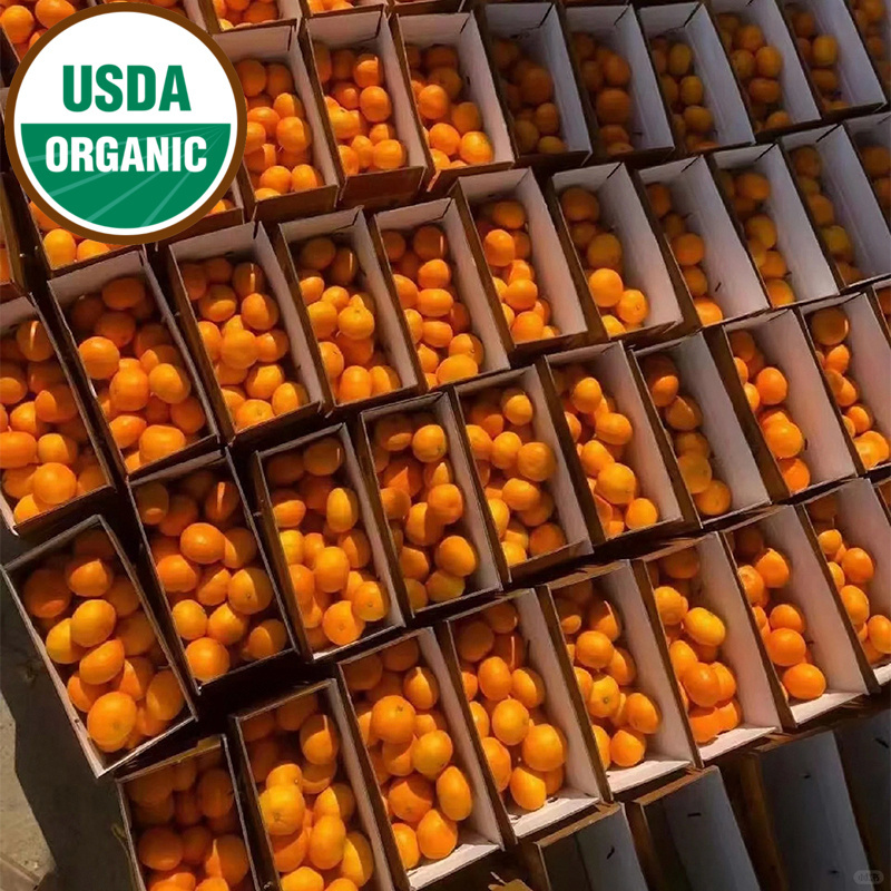 1 lb Organic Seedless Honey Tangerines Enccay