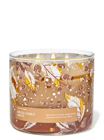 Spiced Citrus Grove 3-Wick Candle