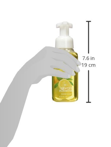 White Barn by Bath & Body Works Gentle Foaming Hand Soap in Mahogany Teakwood (2 Pack)