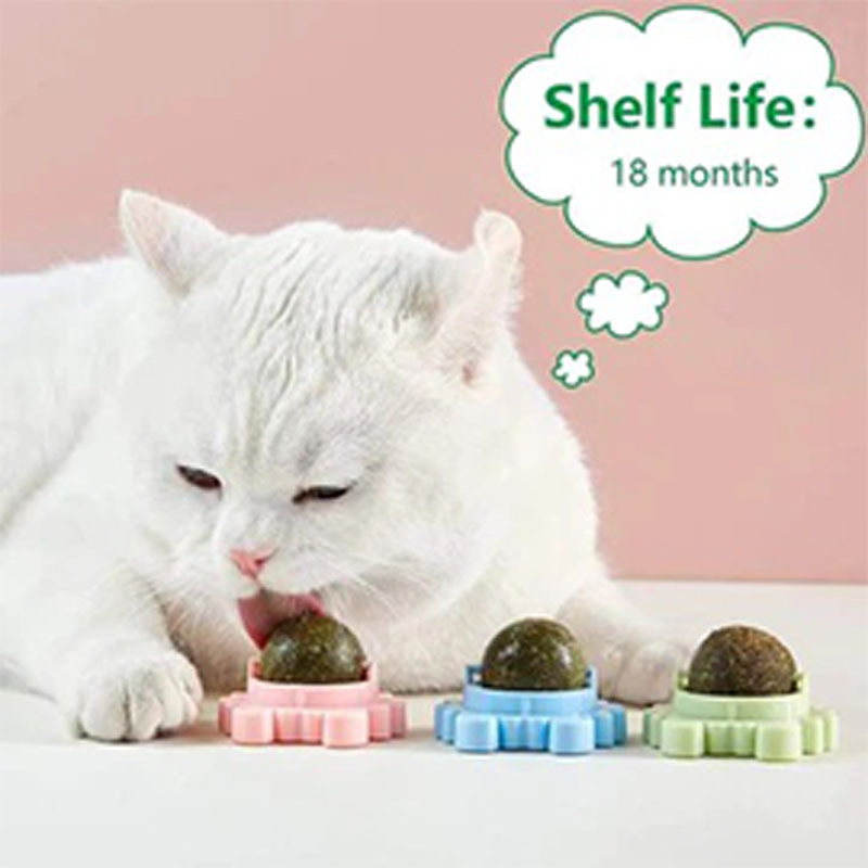 Hot Sale 🔥- Catnip Balls - 🔥BUY 3 GET 1 FREE