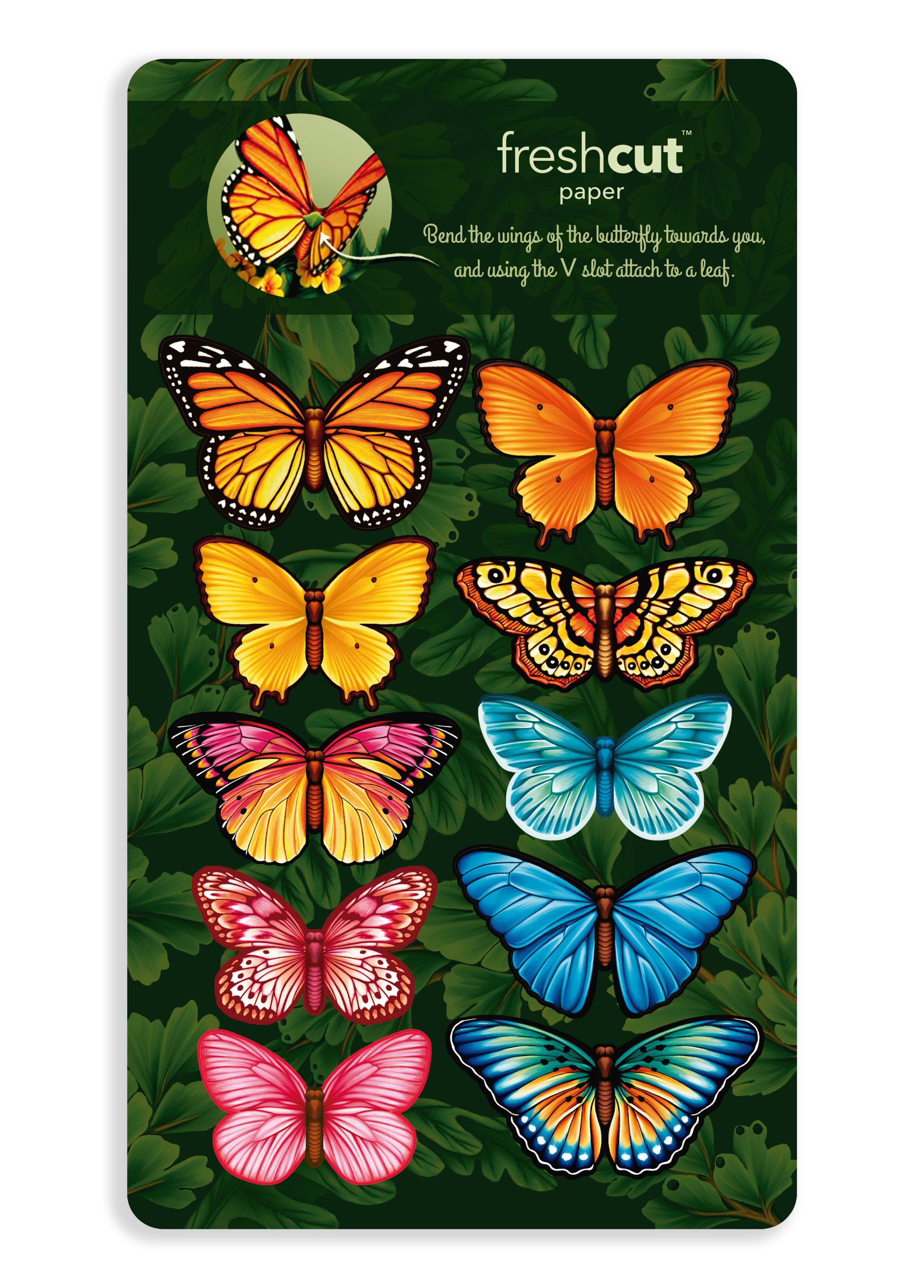Butterflies and Buttercups (NEW)
