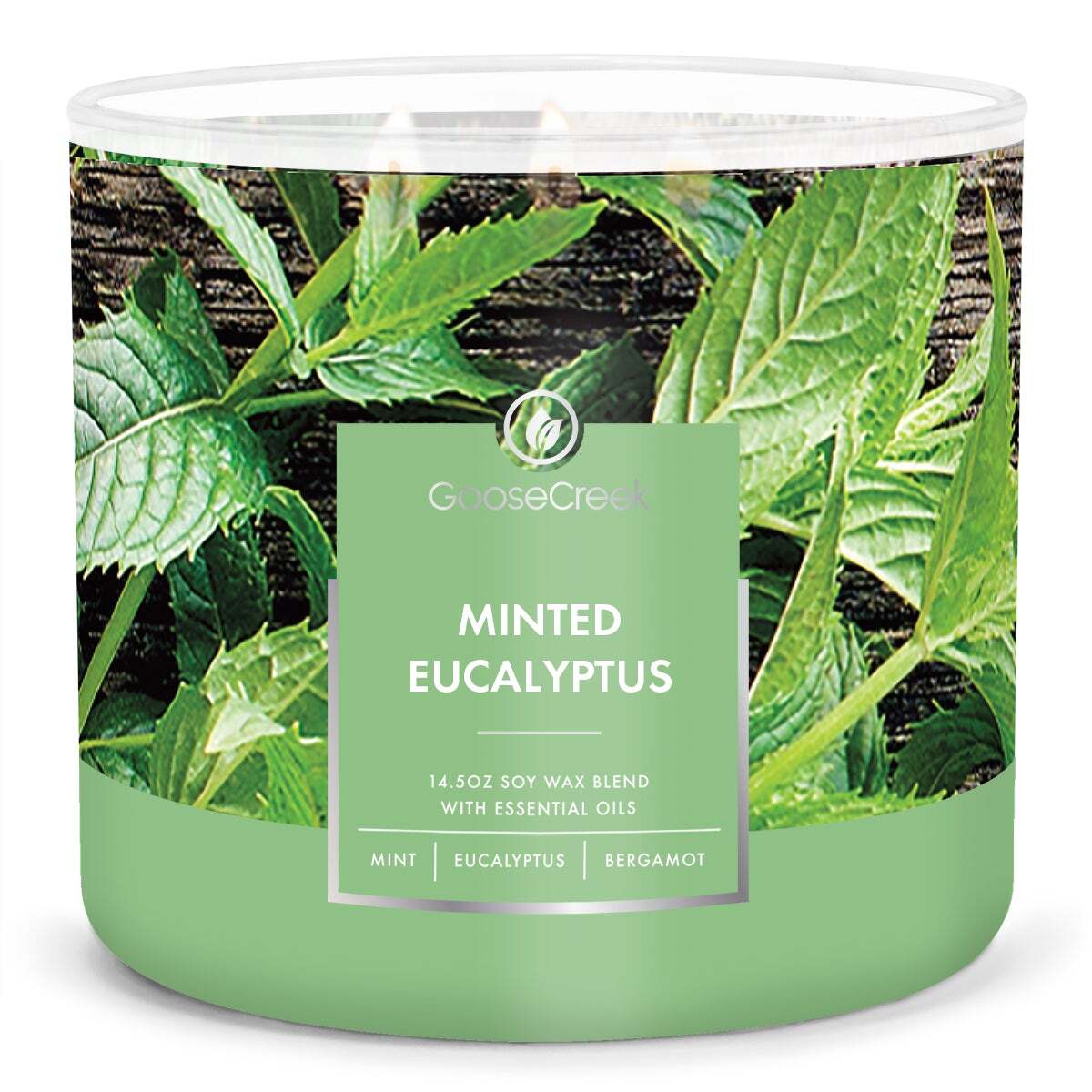 Minted Eucalyptus Large 3-Wick Candle