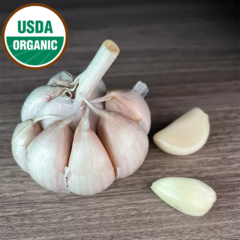 🌟Heirloom Seed Garlic - Nootka Rose - DAL Farm
