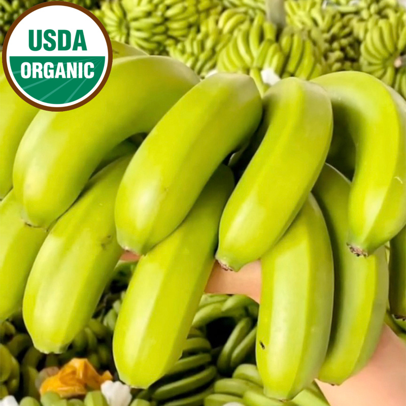 Organic Goldfinger Bananas, 1 lb, Good Land Organics