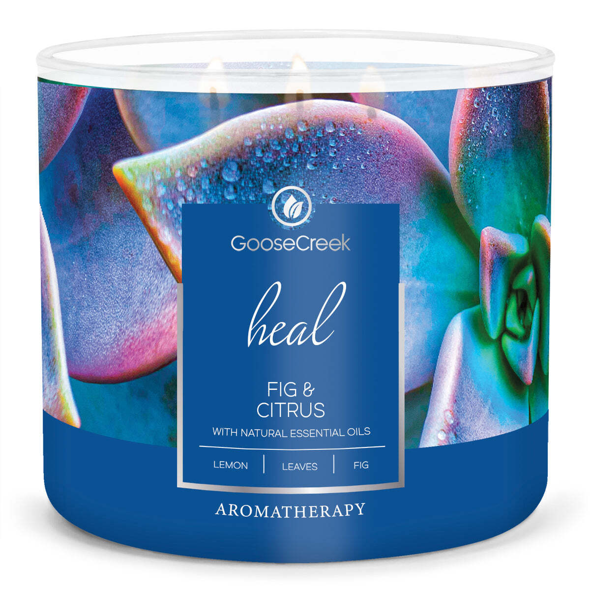 Fig & Citrus Aromatherapy Large 3-Wick Candle