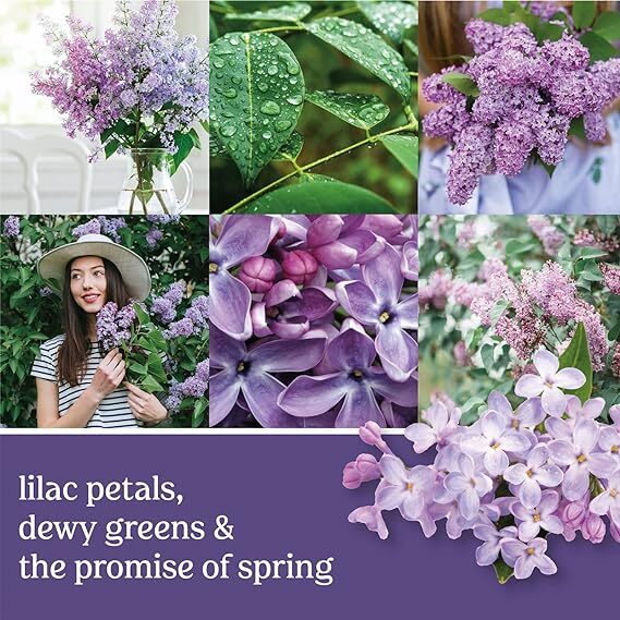 Lilac Blossoms-22oz