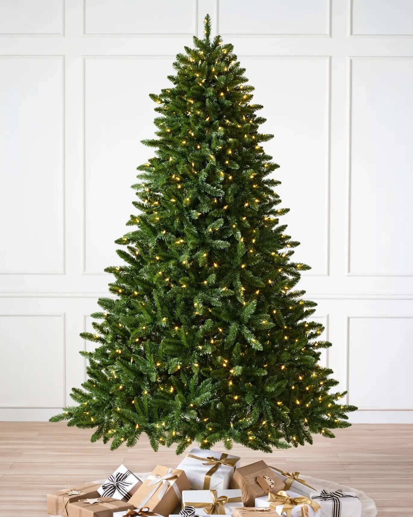 Classic Evergreen Spruce - yfzx209686